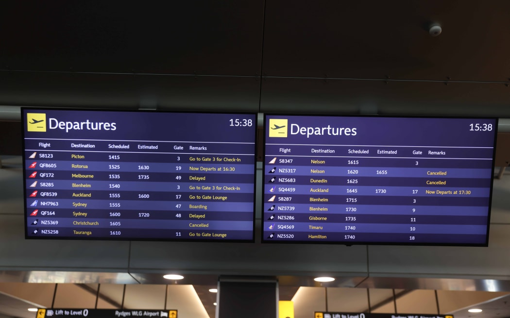 About 30 people were queuing at Wellington Airport on Tuesday afternoon after fog disrupted flights in the capital.