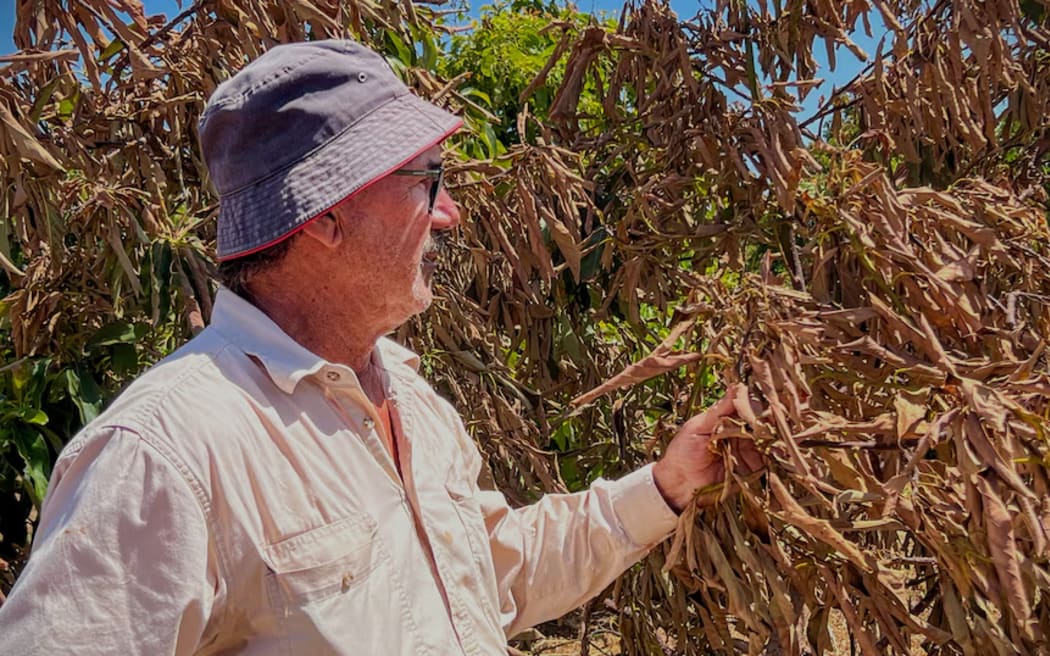 Phil Fzrop says the full extent of damage and financial losses to local growers will take months to uncover.