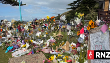 Tauranga mayor says it's unlikely Mt Maunganui landslide area will remain a campsite