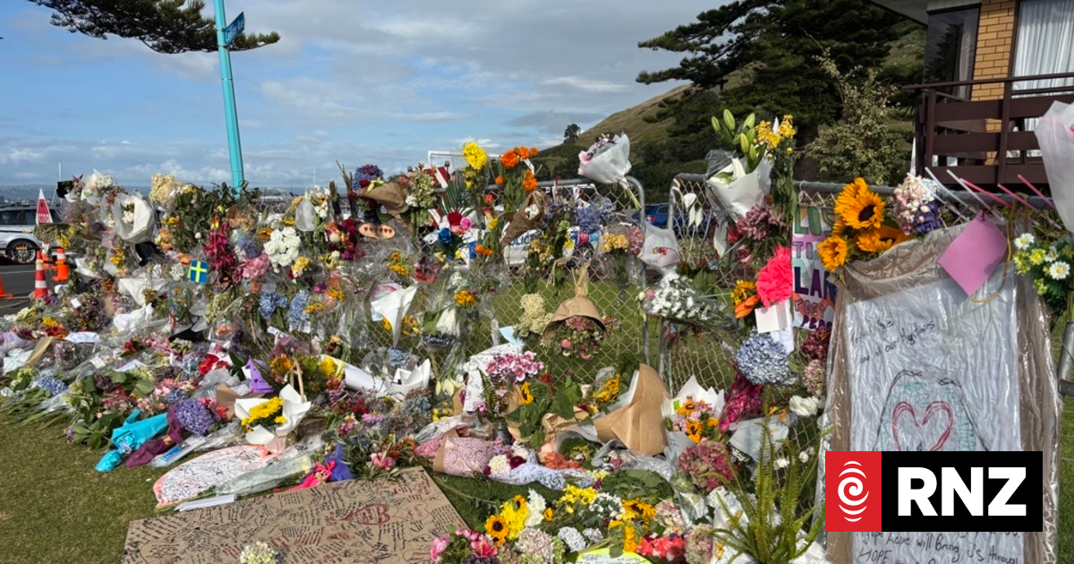 Tauranga mayor says it's unlikely Mt Maunganui landslide area will remain a campsite