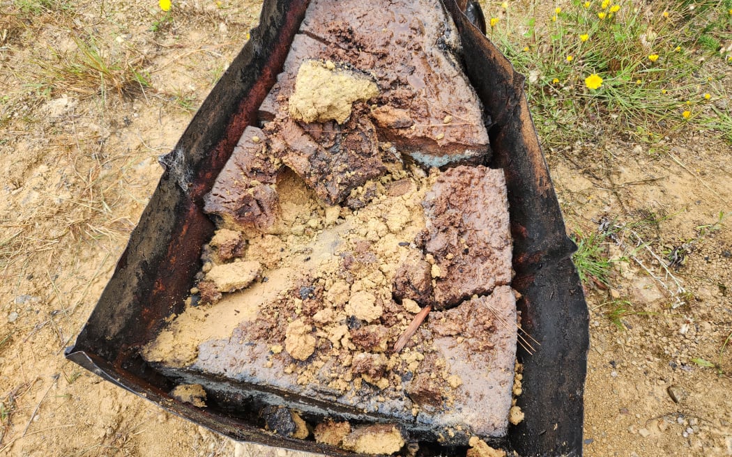 A close-up of the hops waste or porridge used for making biochar