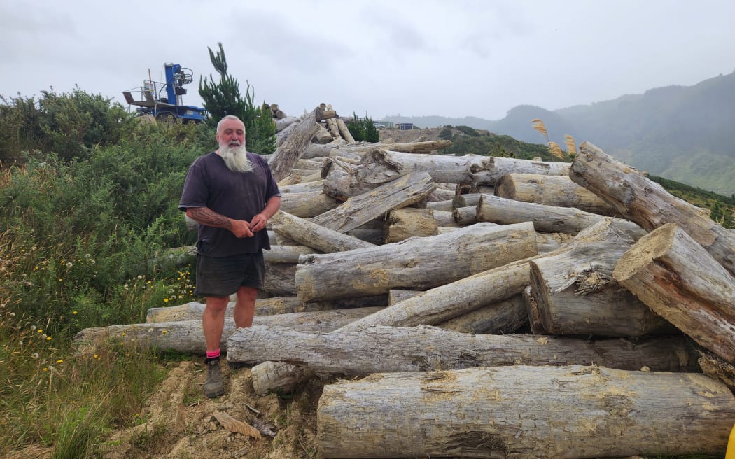 Piles of logs, forestry slash, lie heaped up beside Matt