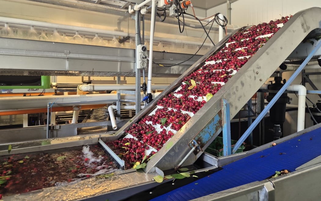 Clyde Orchards has been owned and operated by the Paulin family since 1921.