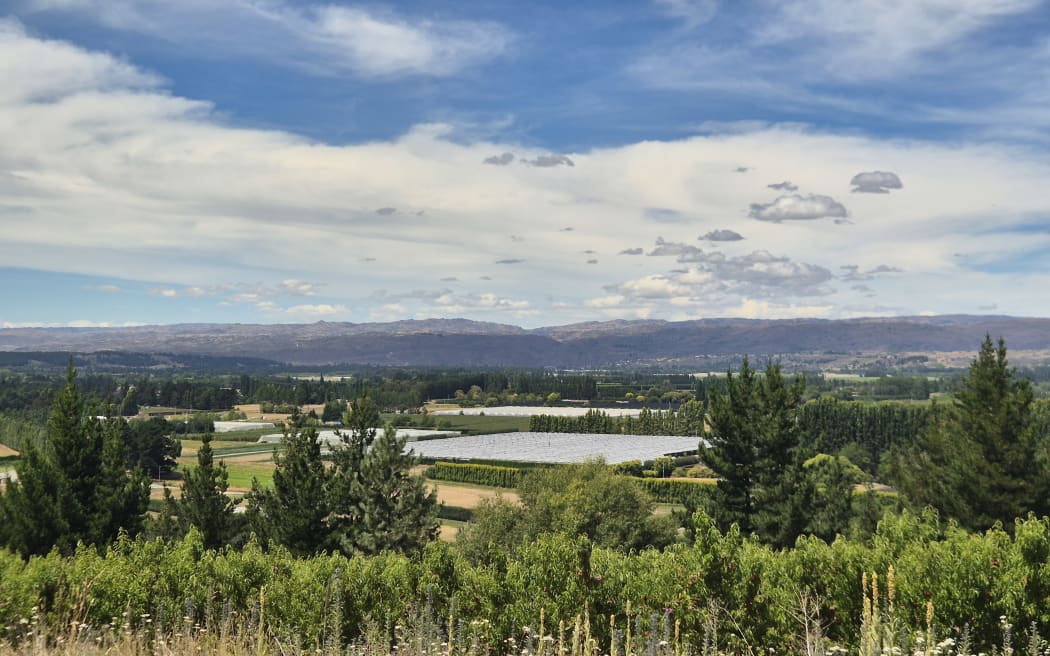 Clyde Orchards has a number of different orchards throughout Central Otago.