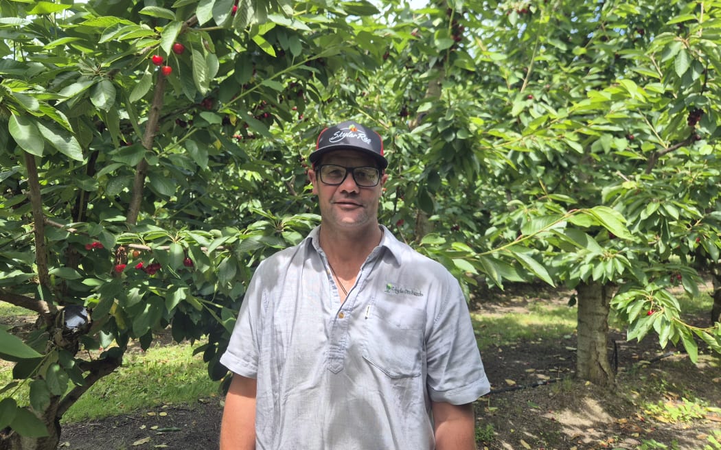 Clyde Orchards general manager Kris Robb.