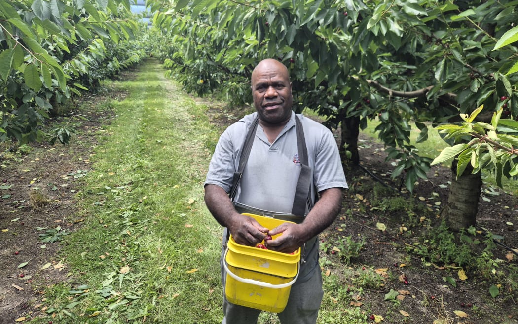 Mike, a ni-Van RSE worker, has been coming to Clyde Orchards from Vanuatu for almost 20 years.