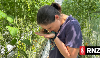 Country Life: Good vibes in the greenhouse