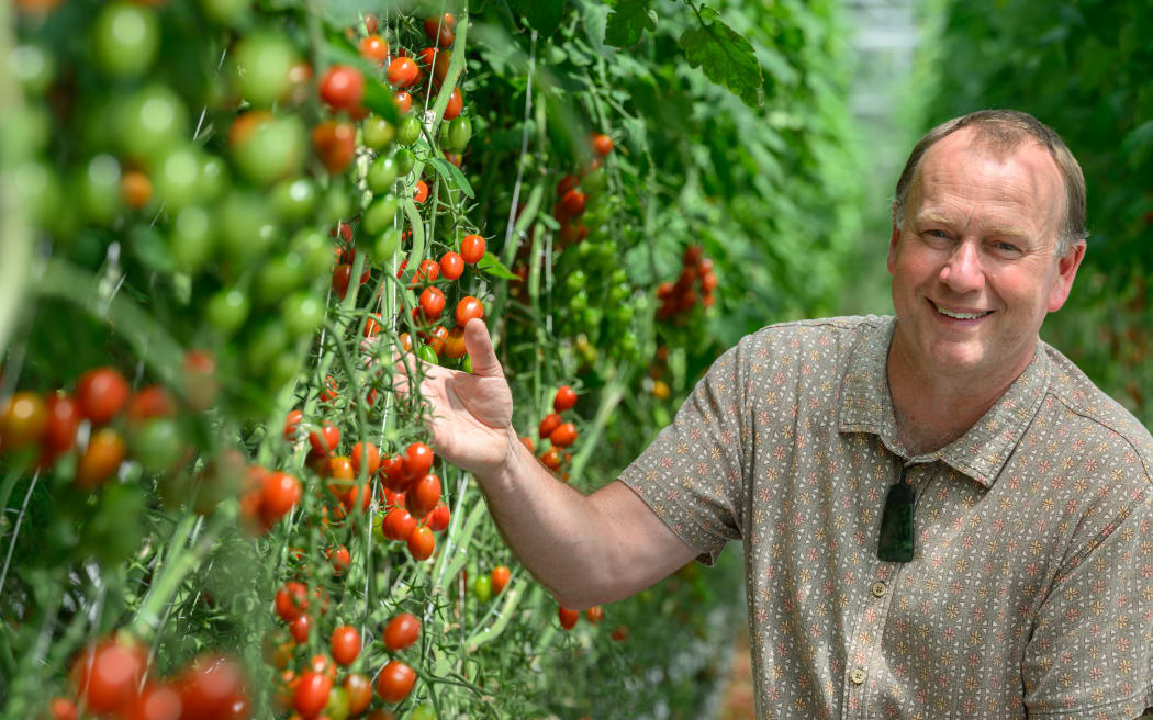 A portrait shot of Dr Lloyd Stringer, who is smiling. He is wearing a brown patterned shirt and has a large pounamu necklace. He is beside a row of tomato plants with lots of red ripe tomatoes. He is touching the plant with his right hand.