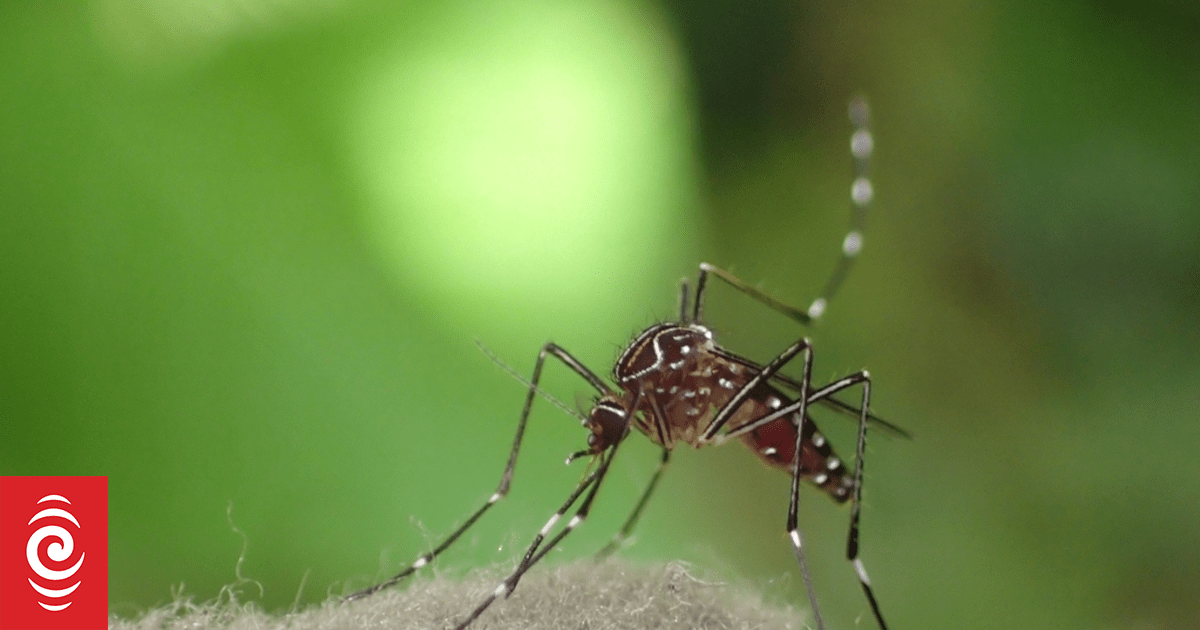Cook Islands reports dengue death, amid increase in outbreak