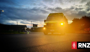 Person injured in dog attack in Timaru