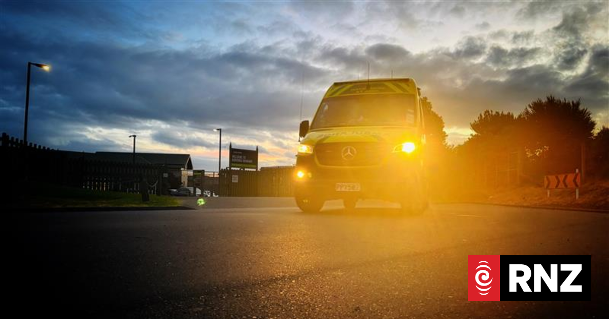 Person injured in dog attack in Timaru