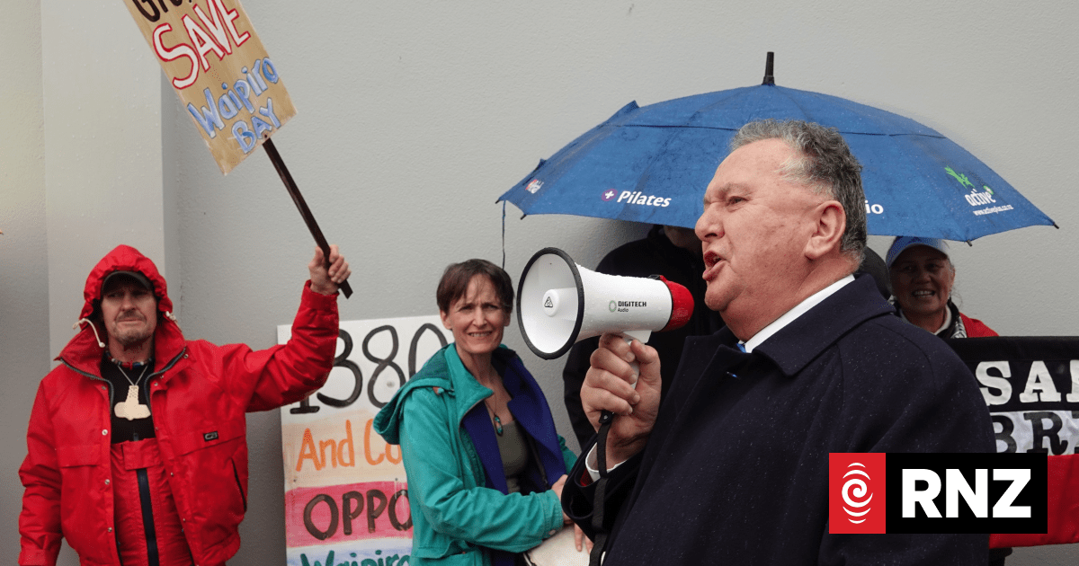 NZ First to campaign on ministers getting final say in fast track projects