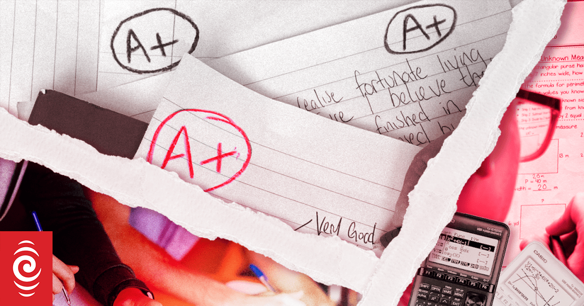 Ex-ministry staffer accuses government of ignoring education experts, teachers