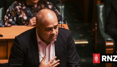 Peeni Henare 'stepping back', won't be contesting Tāmaki Makaurau seat at election