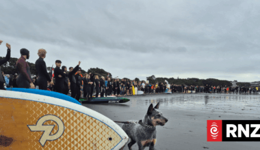 Fast track panel declines Taranaki seabed mining over risk to marine life