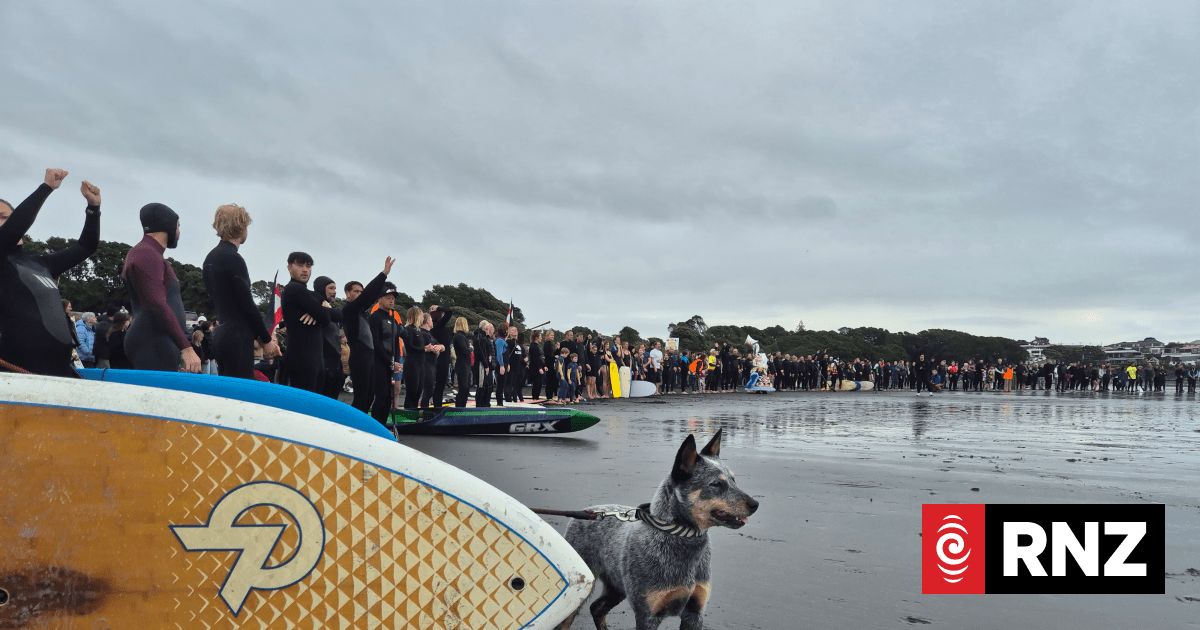 Fast track panel declines Taranaki seabed mining over risk to marine life