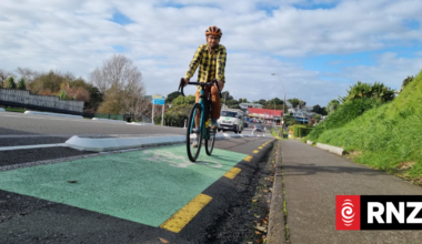 New Plymouth cycleway: 'Mallowpuff' lane dividers to replace controversial 'Tim Tams'