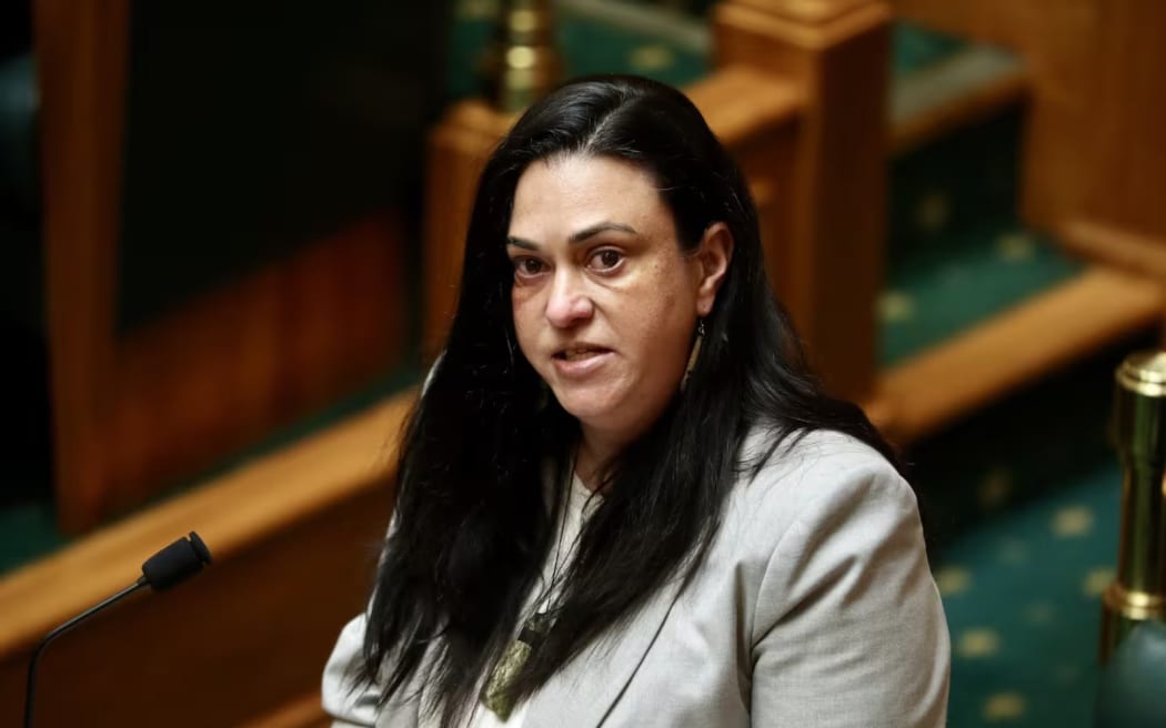 New Zealand First MP and Children's Minister Karen Chhour says she hasn't received advice from Oranga Tamariki about the report. Photo / Mark Mitchell