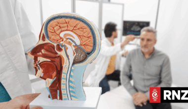 Neurology patient sees specialist faster as a tourist in France than back home