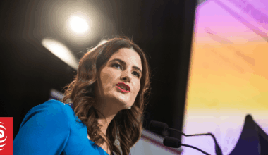 Finance Minister promises to release data showing gas plan will lower power bills