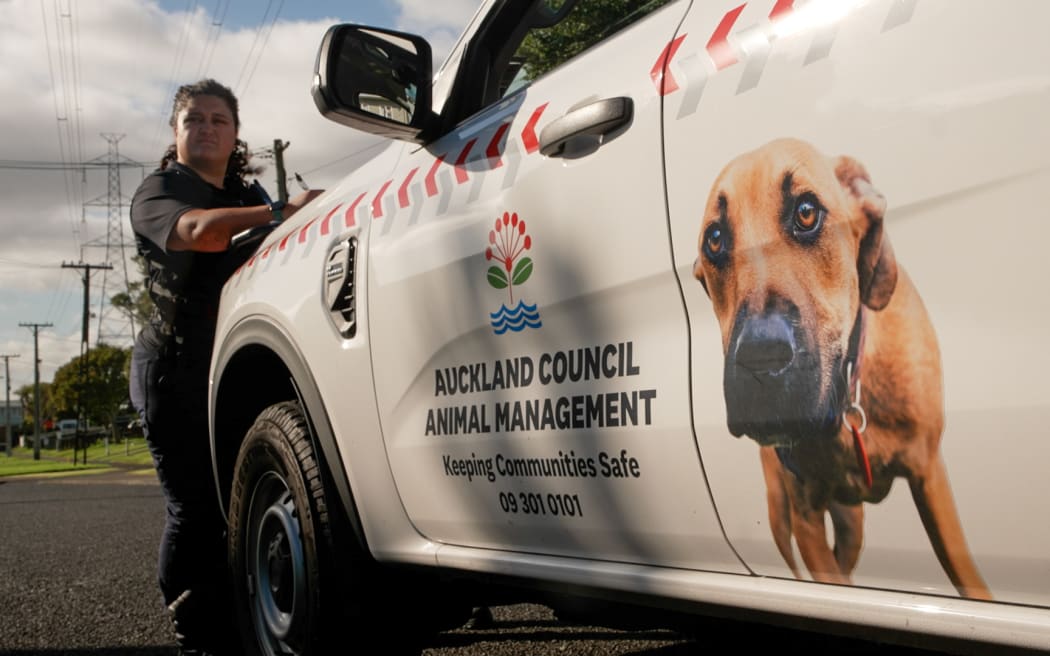 Roaming Dogs in South Auckland