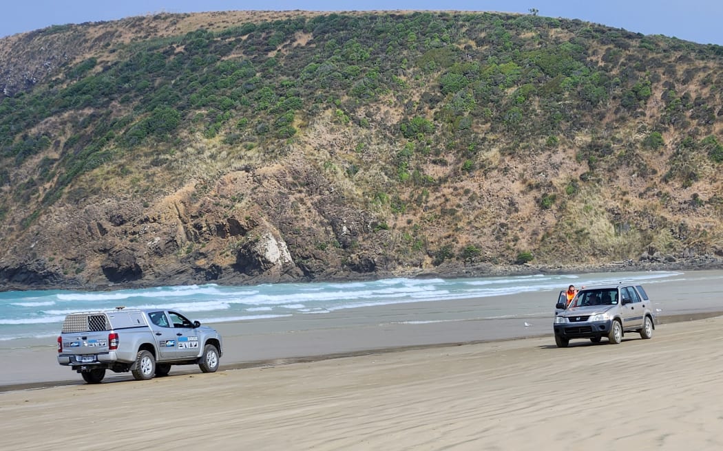 A Clutha District Council ranger talks to a motorist seen driving within metres of resting sea lions. The current rules state vehicles should stay 50m away form wildlife.