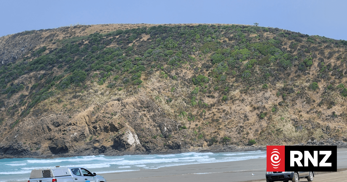 Cries of 'shame on you' as Clutha councillors vote on looking into vehicle-free zones on beaches