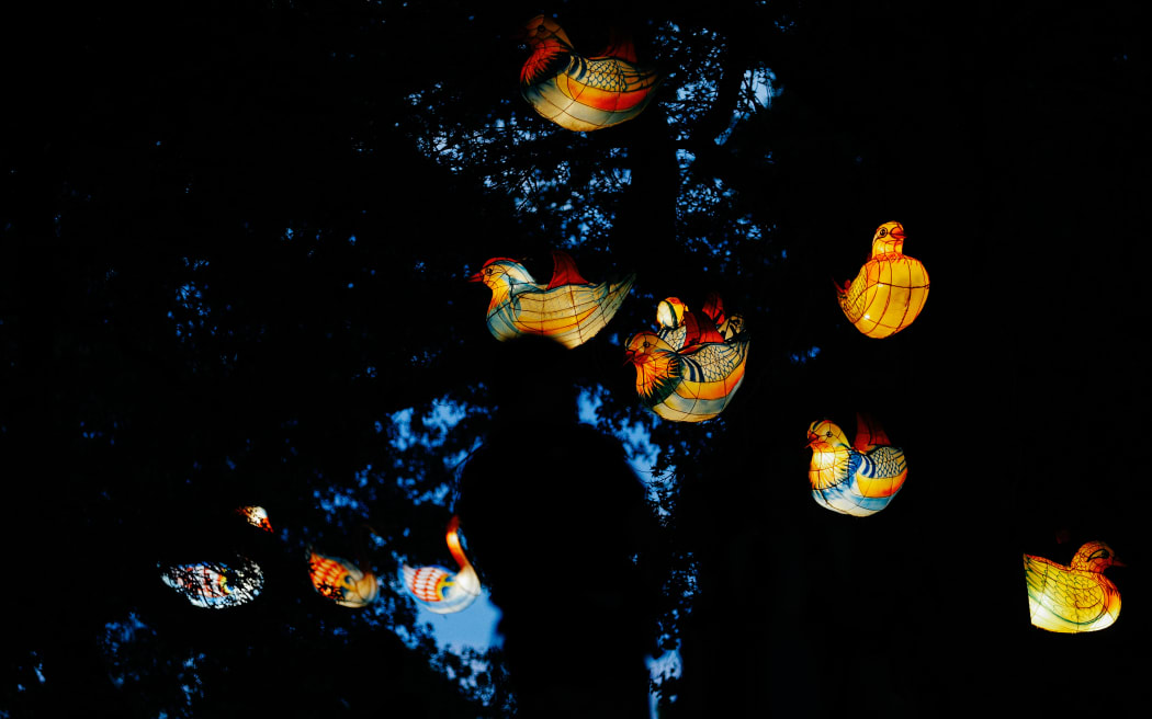 2025 Auckland Lantern Festival, February 13 at Manukau Sports Bowl.