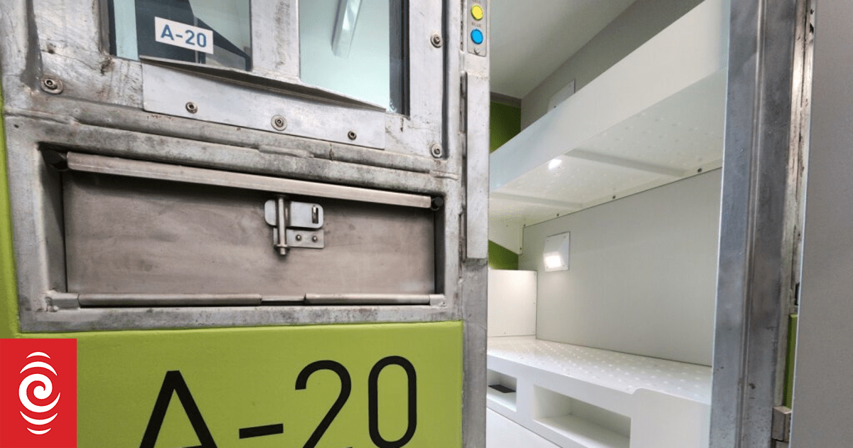 Prisoner with burst appendix not taken to hospital for six days