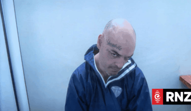 Man admits murder of Bernice Marychurch on Auckland bus