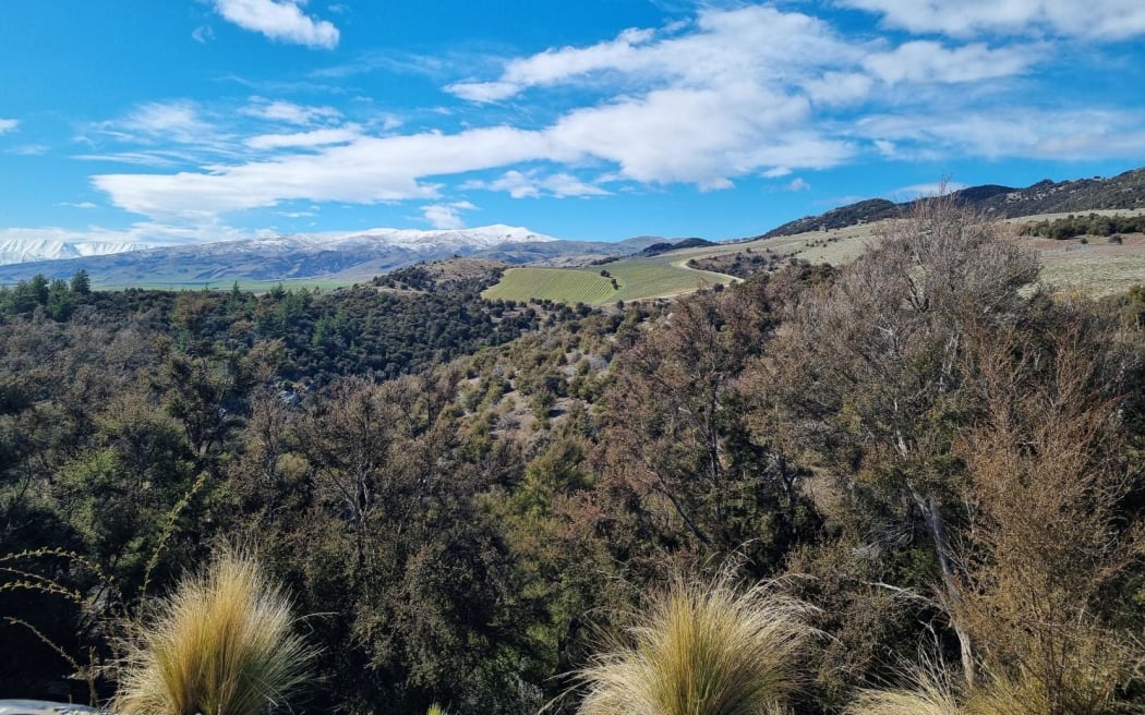 The view towards the proposed mine site between Bendigo and Ophir.