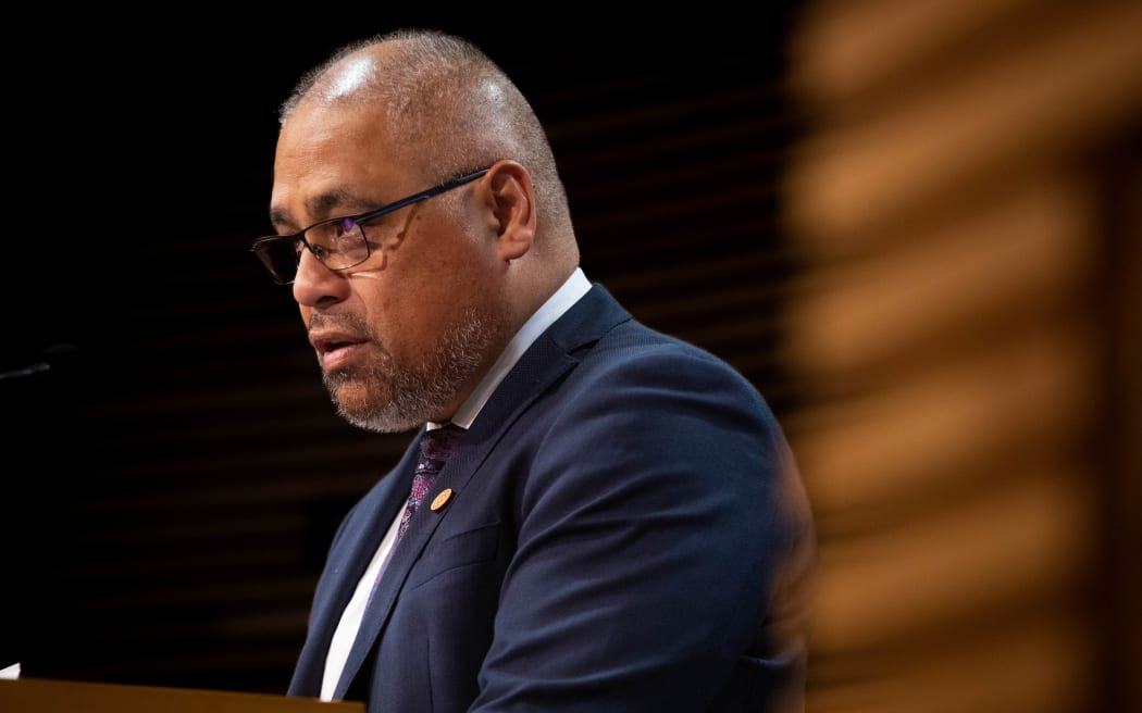 James Shaw and Peeni Henare speak to media about the ETS review