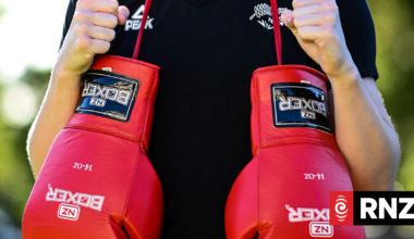 Boxing NZ appoints new leadership as investigation into head coach drags on