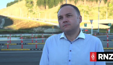 Wellington Water chair Nick Leggett resigns over Moa Point sewage disaster