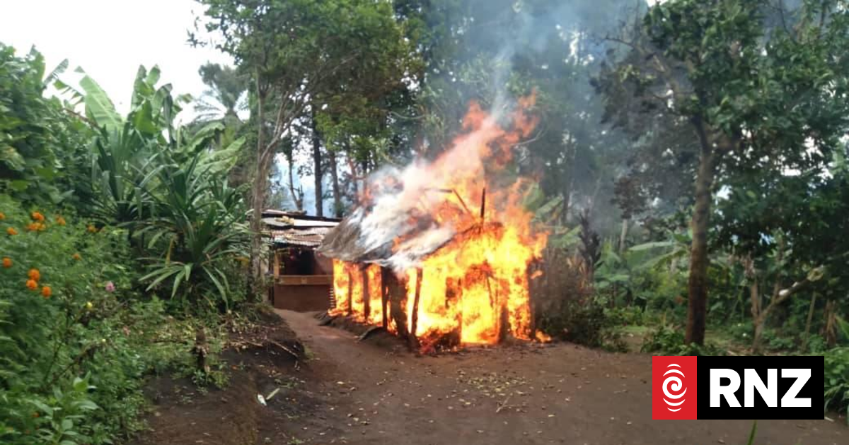 NZ pulls plug on $6.7m power project in Papua New Guinea amid tribal violence