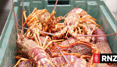 Fishing charter company fined $60,000 for illegally serving crayfish to customers