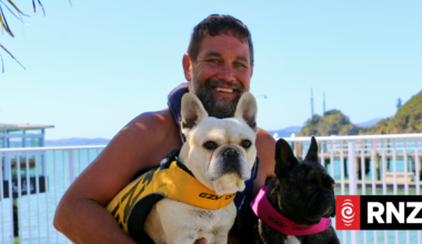 Famous surfer dog Bosco makes a splash at Waitangi