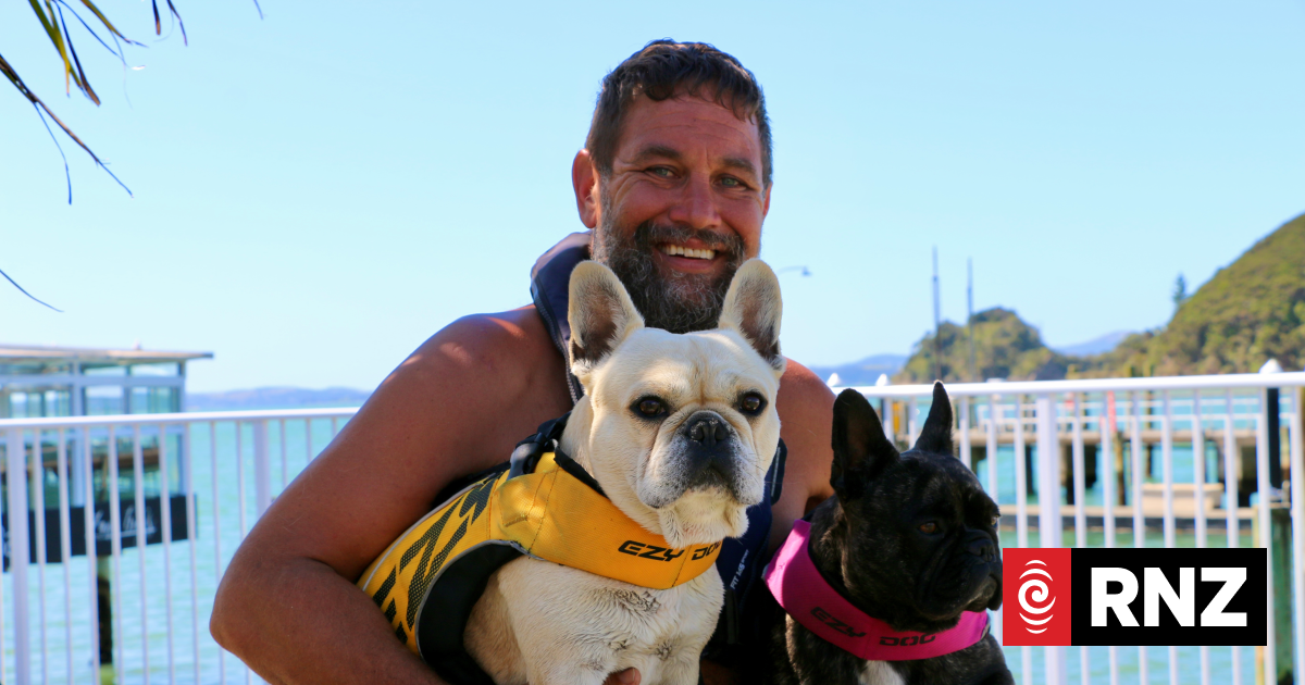 Famous surfer dog Bosco makes a splash at Waitangi