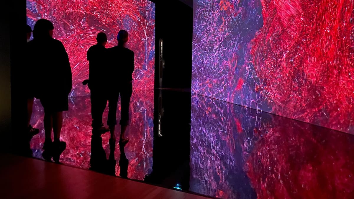 Aotearoa NZ Festival of the Arts in Wellington runs from February 24 – March 15