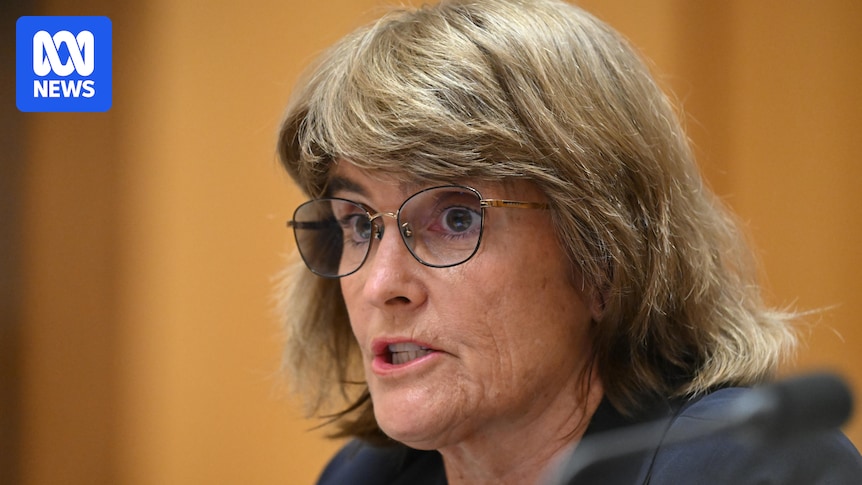 RBA governor accused by senator of 'gaslighting' Australians on economy