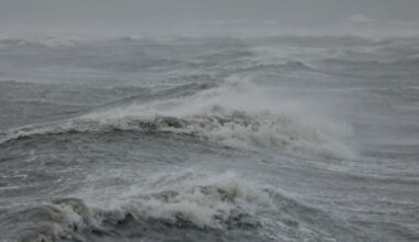 Seven-metre swells possible as severe weather hits Wellington