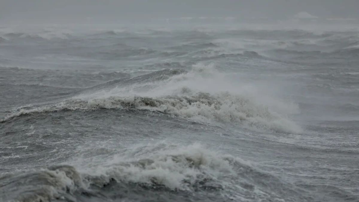 Seven-metre swells possible as severe weather hits Wellington