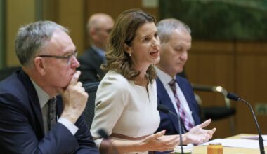 Nicola Willis unlikely to get in the way of insurers hiking premiums with new review - Jenée Tibshraeny