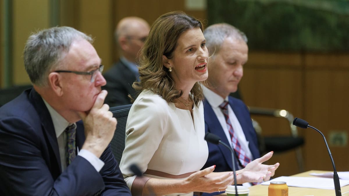 Nicola Willis unlikely to get in the way of insurers hiking premiums with new review - Jenée Tibshraeny