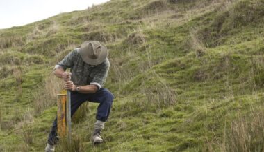 Hawke’s Bay farmers fear erosion will worsen if nursery subsidies are cut