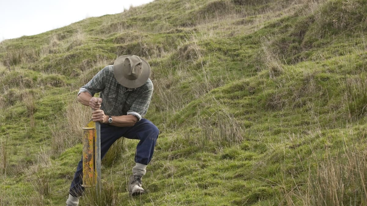 Hawke’s Bay farmers fear erosion will worsen if nursery subsidies are cut