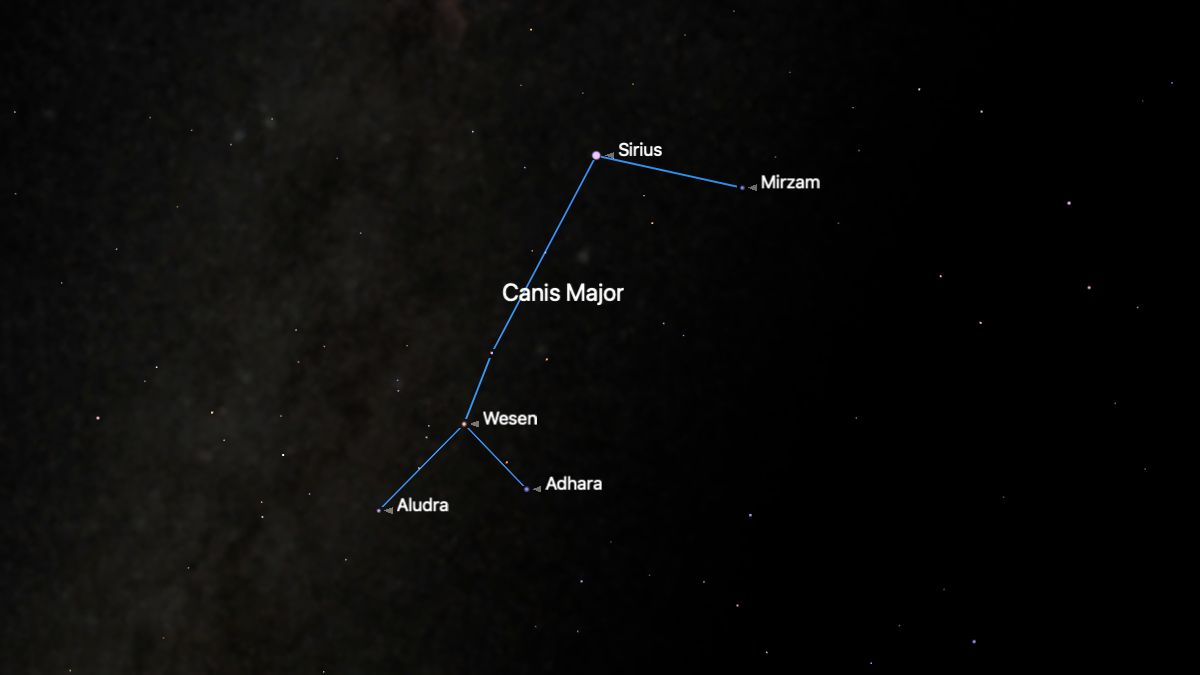 A simulation of the night sky showing the stars of the constellation Canis Major joined by a blue line with the glowing band of the Milky Way shining to its left.
