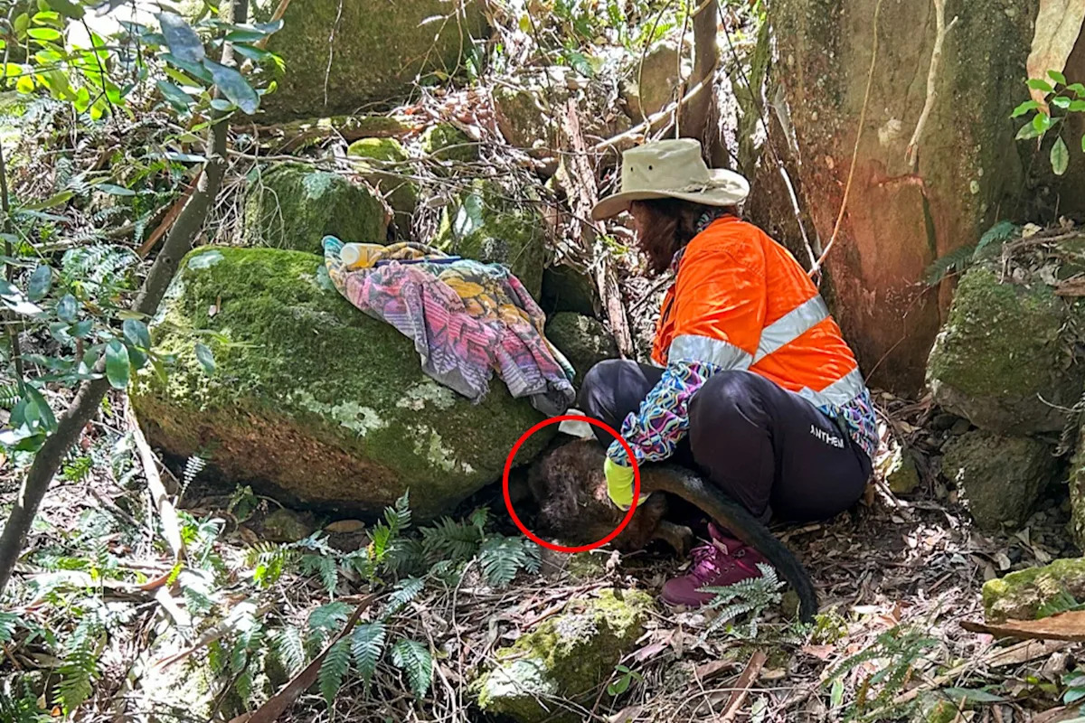 Council workers' kind act after startling find in thick Aussie bushland