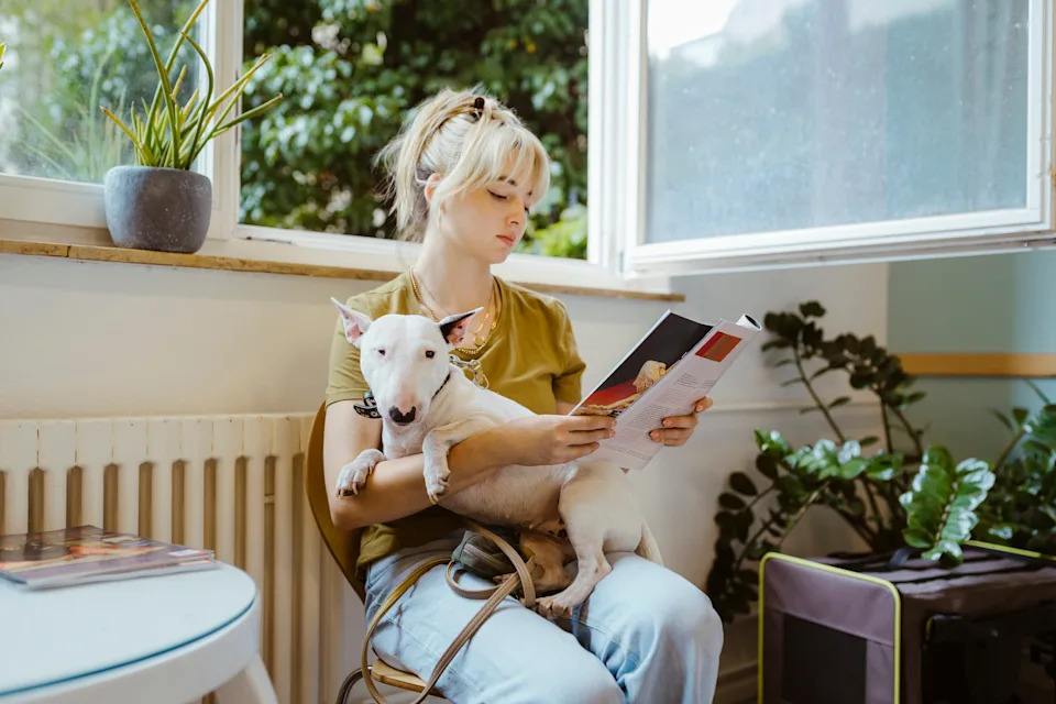 A woman sits by a window reading a magazine, holding a calm dog in her lap. The room has plants and modern decor, suggesting a relaxed setting