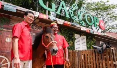 Subscribe Placeholder